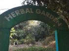 Entry to a medicinal-herb garden