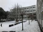 School in snow I