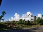 The effects of the hurricane that I saw when I went back home