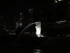 Even at night, the Merlion statue continues to spew water from its mouth