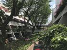 The lovely, leafy courtyard by the building where I had my linguistics classes