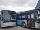 Typical buses in Ferrol
