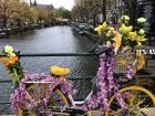 Bikes are a symbol of Amsterdam and are even used for decoration, like this flower-covered one!