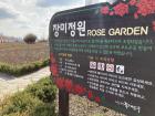 Rose garden