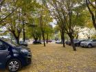 Some parking lots in Córdoba are made from soil and trees instead of cement // Algunas estacionamientos en Córdoba están hechos de suelo y arboles en vez de concreto  