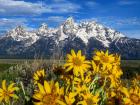 National Parks, Grand Tetons