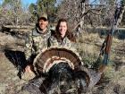 Hunting is another American "freedom" we have--here is my second Turkey in Gila National Forest