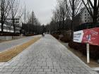 The Baekyangro, the main walkway across Yonsei