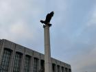 The eagle was erected by students as Yonsei's symbol