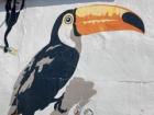 Mural of the toucan and monkeys that I saw while walking around Ihwa Mural Village