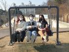 The parks in Seoul have fun swings that I really liked!