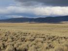 View of the Patagonian steppe