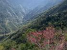The view from the hiking trail in Wutai Township