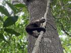 We saw a monkey hanging out next to us as we hiked through Tayrona Park