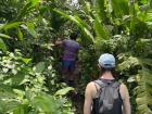 We hiked through the jungle, encountering a large variety of flora and fauna
