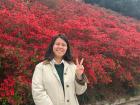 Many people (including me!) enjoy taking photos with royal azaleas