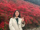 Many people (including me!) enjoy taking photos with royal azaleas