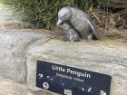 Shelly Beach even has penguins, although I haven't yet spotted a real one!