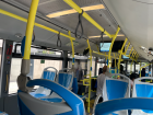 Winding through neighborhoods and enjoying the scenery on the bus