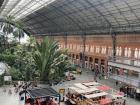 Puerta de Atocha station's indoor jungle!