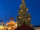 The Christmas tree at the Striezelmarkt