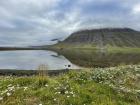 Water is everywhere in Iceland, so it's required for everyone to learn how to swim.