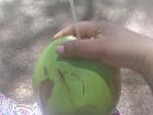 Fresh coconut water in the park