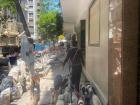 A dog walker in Buenos Aires