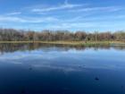 Buenos Aires Ecological Reserve