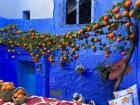 Here is an orange tree in Morocco; orange trees are a common plant, so there are lots of drinks and dishes that include the fruit