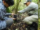 Randy and I setting a camera trap at an acorn site