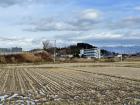 Rice field in Akita