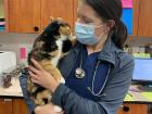 Justine works at a smaller clinic as one of two veterinarians 