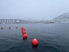 Alex and I went to Pust Sauna where you can swim in the fjord