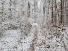 Winter in Göttingen