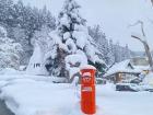 The tree and post box were both covered in snow 