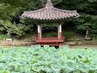 This is the secret garden at the Changgyeonggung Palace
