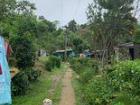 Path leading to my host family's blue house