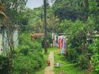 The path leading from the house and the neighborhood puppy