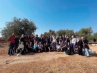 The whole olive harvesting group together