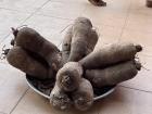 These long, brown plants are what yams look like in West Africa