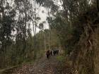 Going for a hike in a community