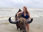 You can take pictures with the buffalo at this beach!