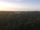 Often you can hear the sounds of animals from a distance