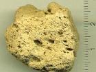 A close-up view of a piece of pumice; Can you see the spaces where there were bubbles of gas when this stone formed?