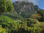 A beautiful view of mountains at Kirstenbosch Gardens