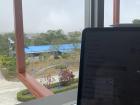 Studying at the library with a wonderful view of our campus