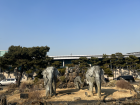 The elephants statues at our University entrance
