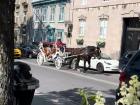 Here is a sample horse carriage that I saw while strolling around Quebec City