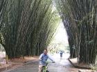 Sebastian at a park riding a bike